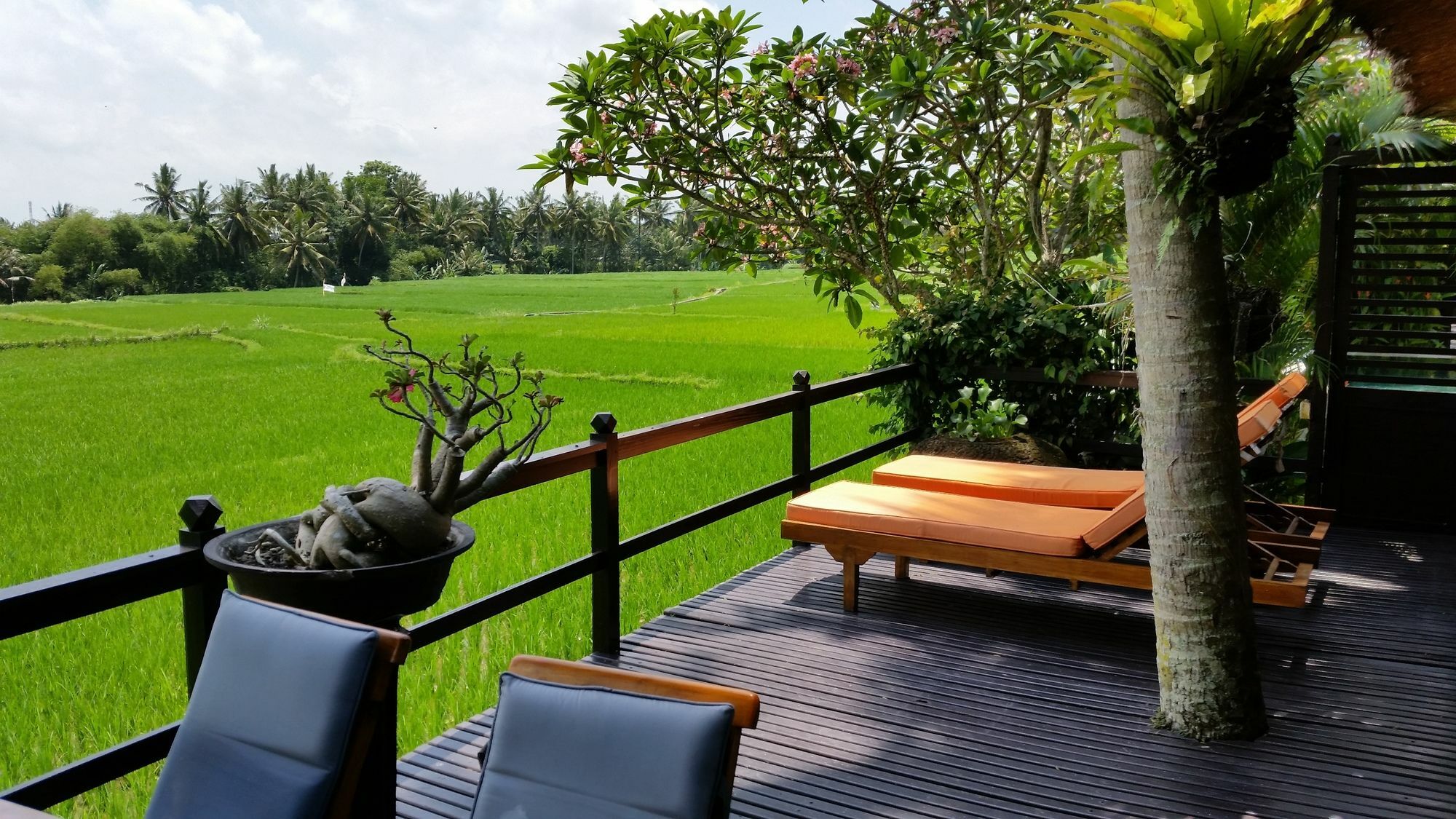 Lodtunduh Sari Hotel Ubud Kültér fotó