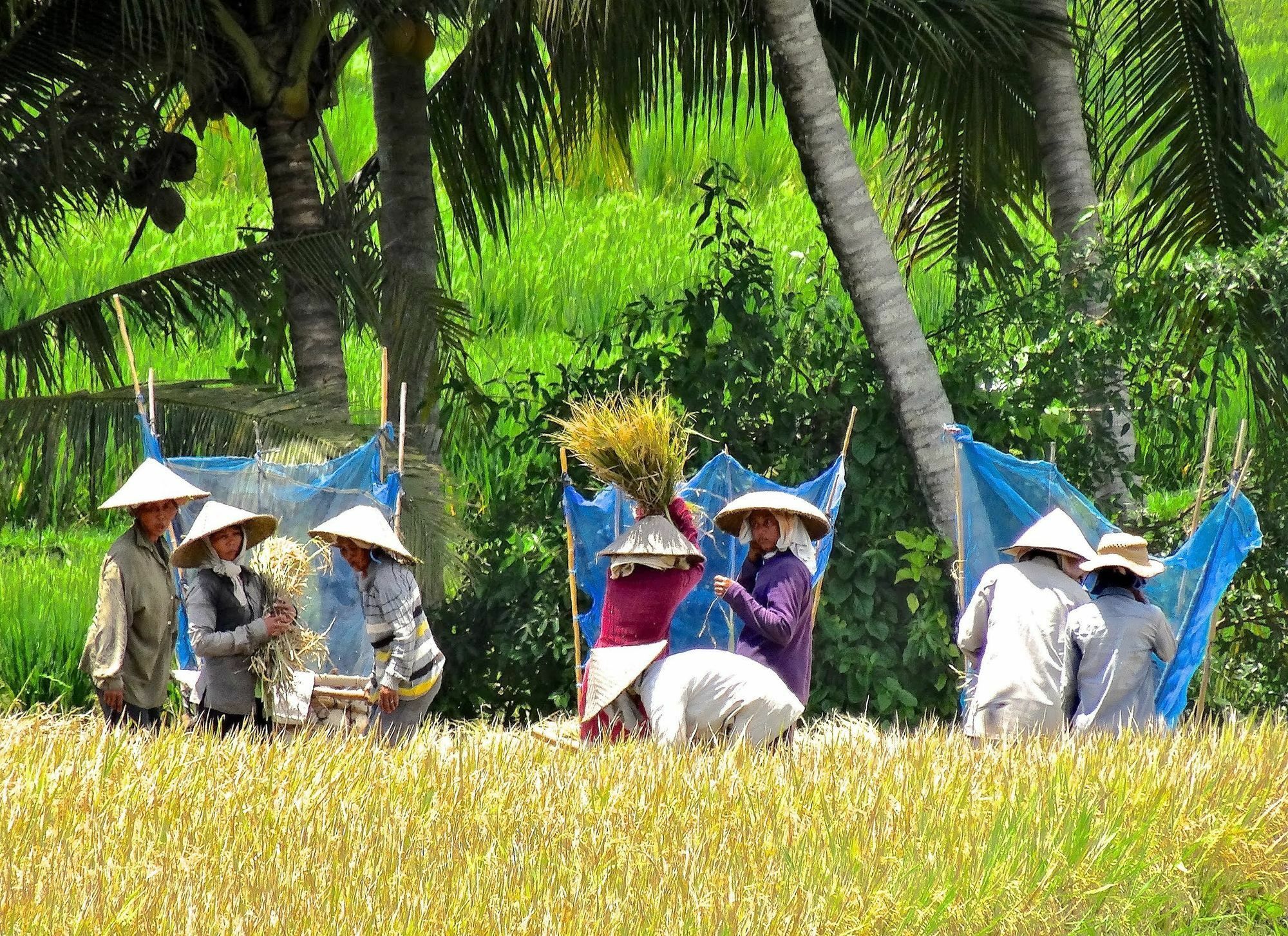 Lodtunduh Sari Hotel Ubud Kültér fotó