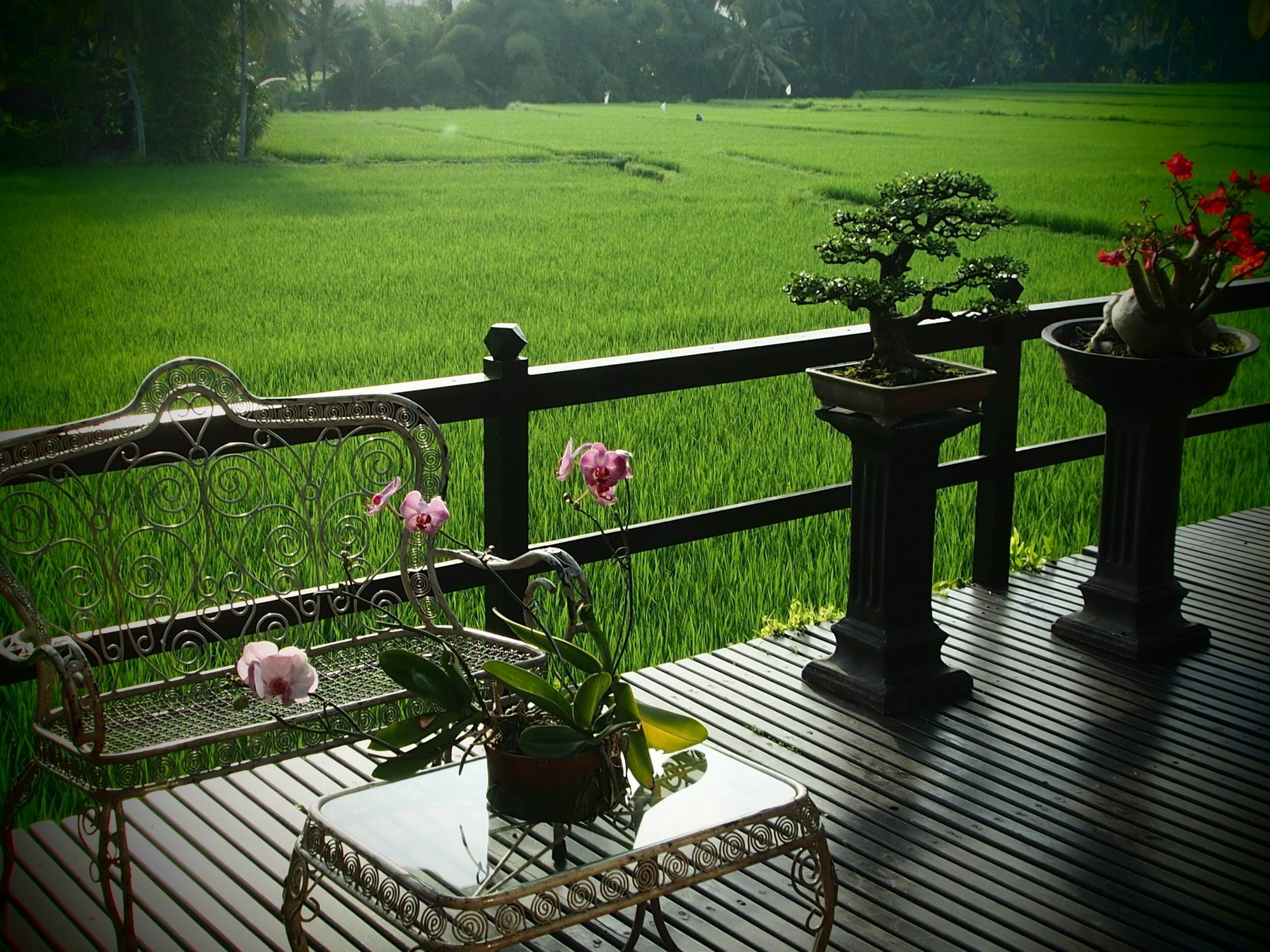 Lodtunduh Sari Hotel Ubud Kültér fotó