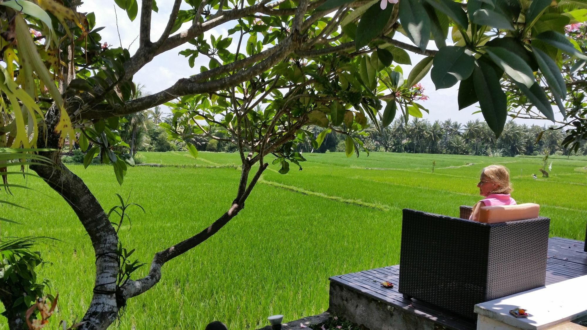 Lodtunduh Sari Hotel Ubud Kültér fotó