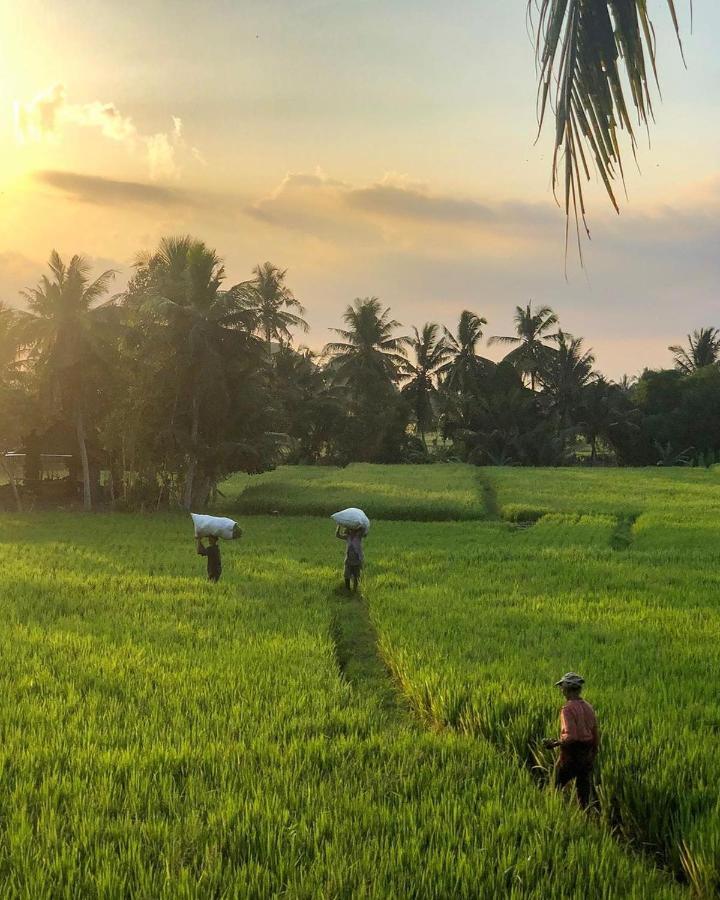 Lodtunduh Sari Hotel Ubud Kültér fotó